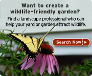 Certify your yard today!